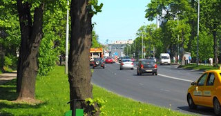 Посадка деревьев и кустарников в Гусе-Хрустальном — стоимость от 1284 руб.
